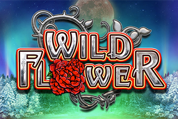 Wild Flowers